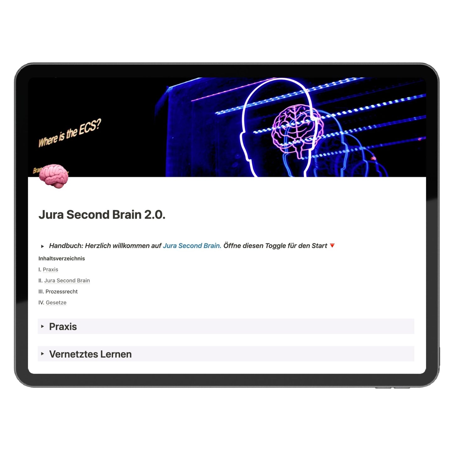 Jura Second Brain 2.0 mit All-In One Examenstool (Premium)
